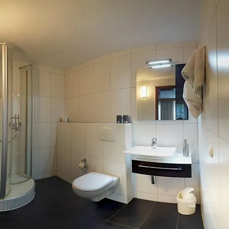 布罗伊希城堡酒店 鲁尔河畔米尔海姆